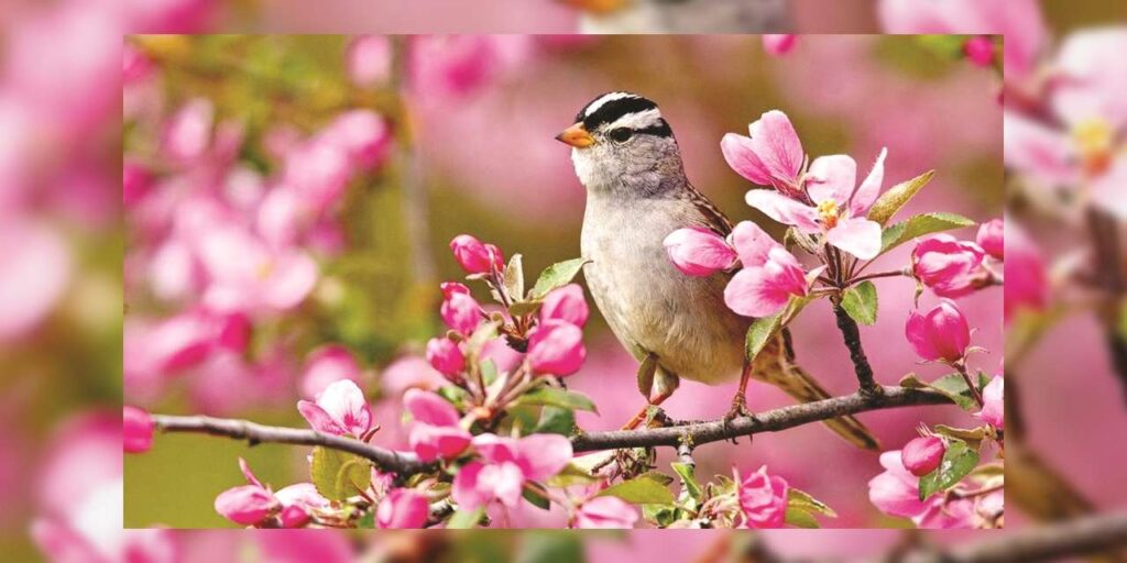 hava-kirildi,-sira-toprakta!-kirikkale’de-baharin-ayak-sesleri