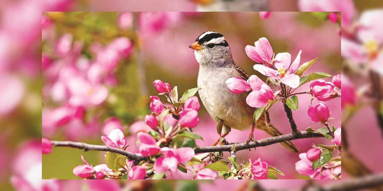 hava-kirildi,-sira-toprakta!-kirikkale’de-baharin-ayak-sesleri