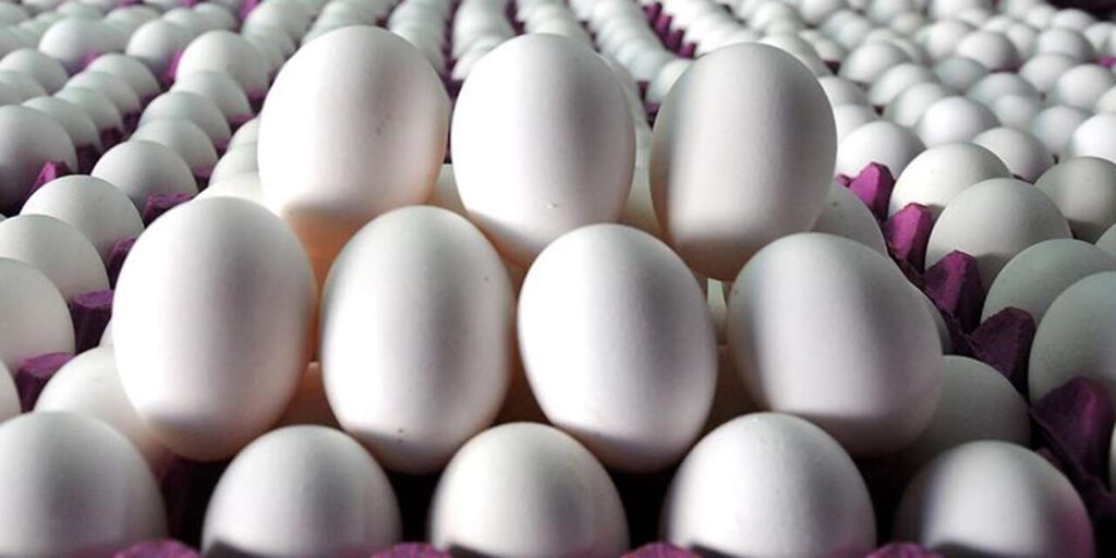 yumurta-satislarinda-yeni-duzenleme