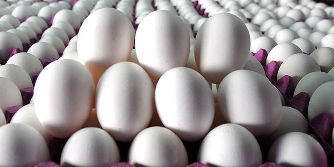 yumurta-satislarinda-yeni-duzenleme