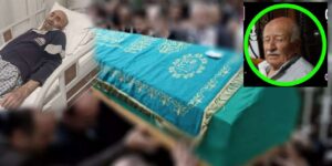 Keskin’de iki çınar birden devrildi