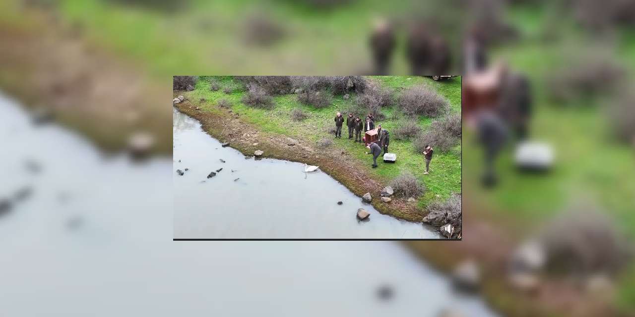 kirikkale-dkmp-mujdeyi-verdi:-o-kugu-artik-guvende