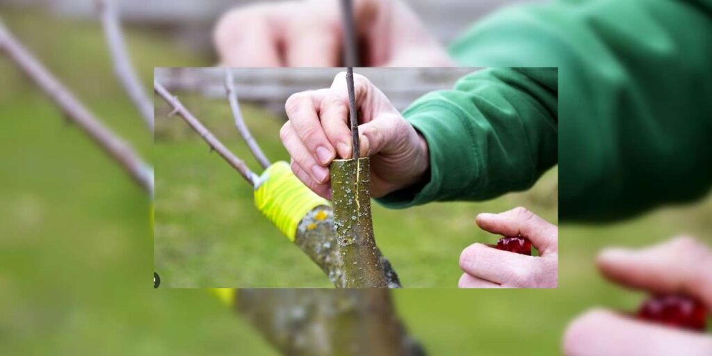 kirikkale’de-ureteci-icin-“altin-mesai”:-6-9-mart-arasina-dikkat!