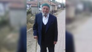 Kırıkkale’de Bir Çınar Daha Hayatını Kaybetti