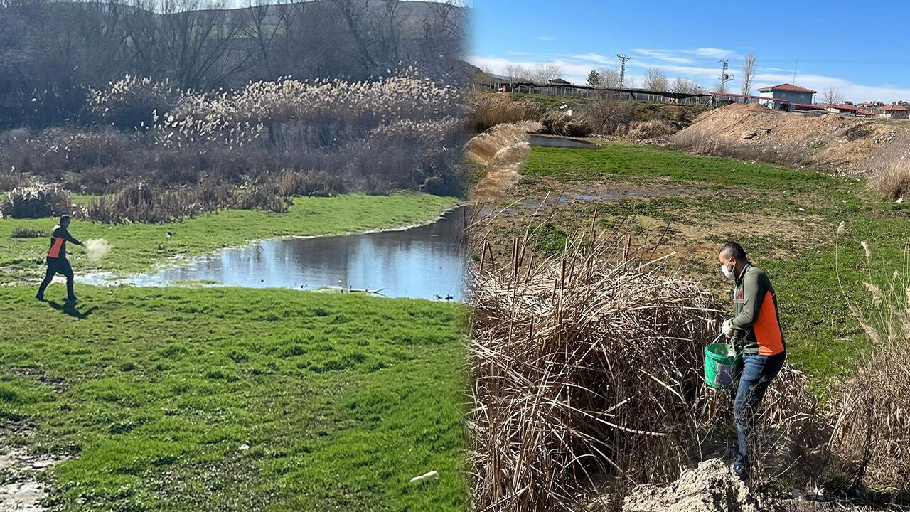 yahsihan’da-kizilirmak-kenarinda-larva-ilaclama-calismasi