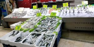 Karadeniz’de ağlar doldu, Kırıkkale’de etiketler düştü!