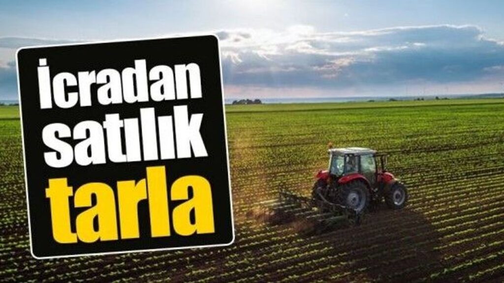 kirikkale’de-mahkemeden-coklu-tarla-satisi