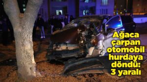 Ağaca çarpan otomobil hurdaya döndü: 3 yaralı