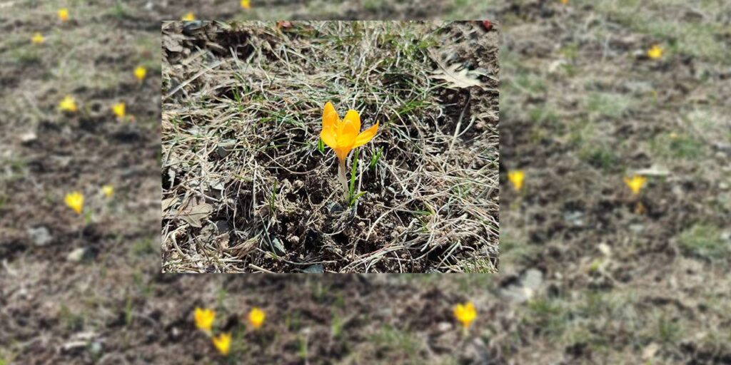 doga-uyandi-kirikkale’nin-daglari-sariya-boyandi