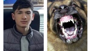 Köpeğin saldırdığı genç hayatını kaybetti