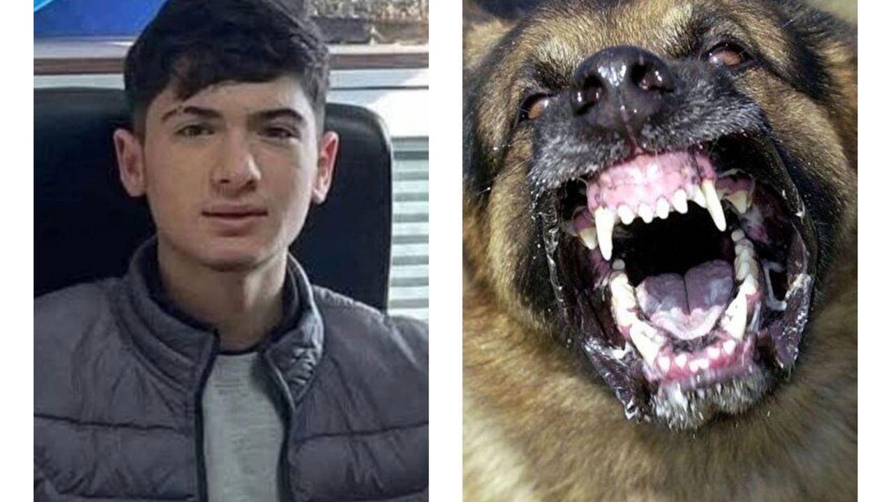 kopegin-saldirdigi-genc-hayatini-kaybetti