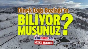 Denek Dağı Bozlağı, Türkülerde Yaşıyor