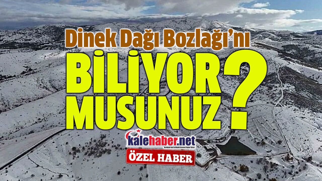 dinek-dagi-bozlagi,-turkulerde-yasiyor
