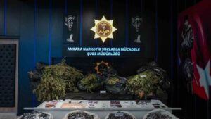 Narkotik operasyonu: 105 gözaltı
