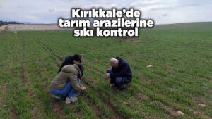 Kırıkkale’de tarım arazilerine sıkı kontrol