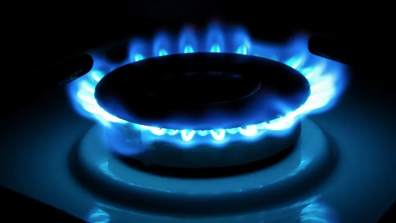 dogal-gaz-agi-buyuyor:-982-yerlesim-yerine-ulasti