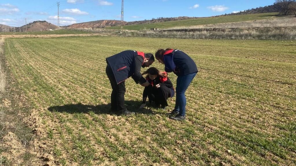 kirikkale’de-tarim-arazilerinde-kontroller-devam-ediyor