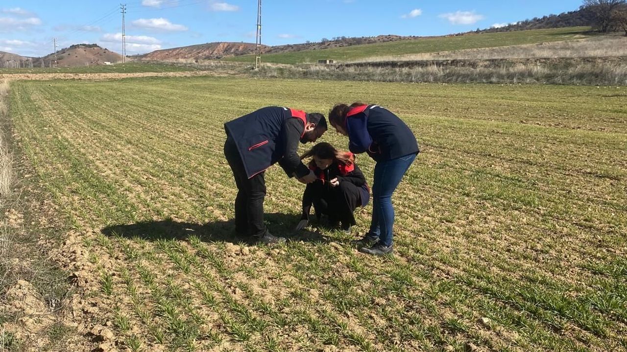 kirikkale’de-tarim-arazilerinde-kontroller-devam-ediyor