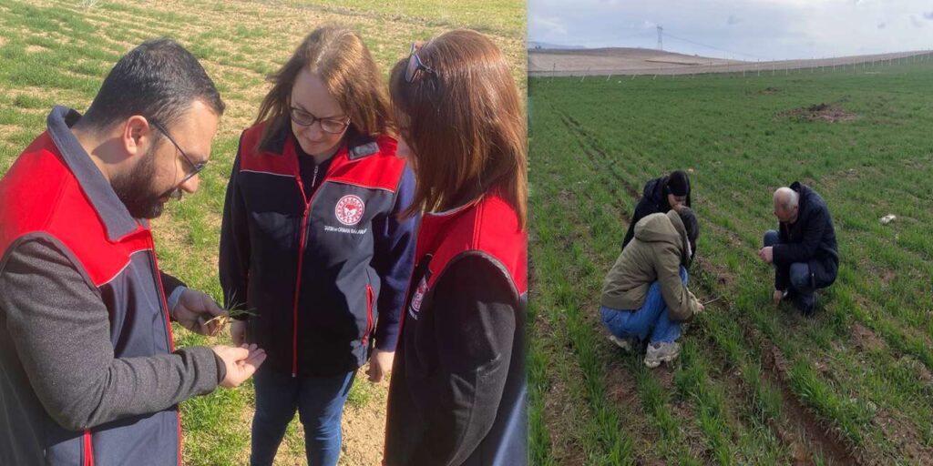 kirikkale’de-tarimsal-uretim-sahada-denetleniyor