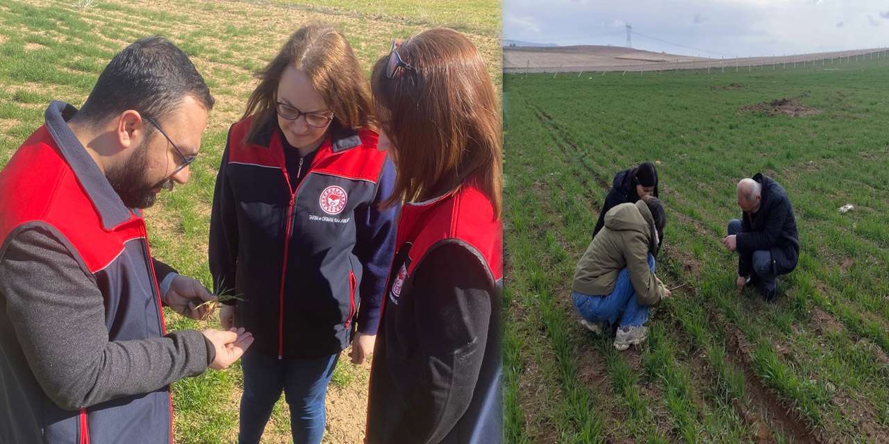 kirikkale’de-tarimsal-uretim-sahada-denetleniyor