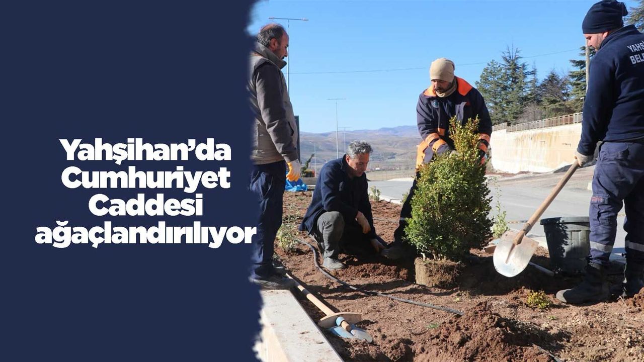 yahsihan’da-cumhuriyet-caddesi-agaclandiriliyor