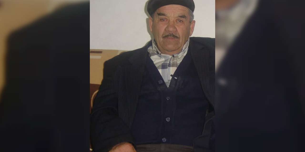 o-koyde-bir-cinar-daha-goctu