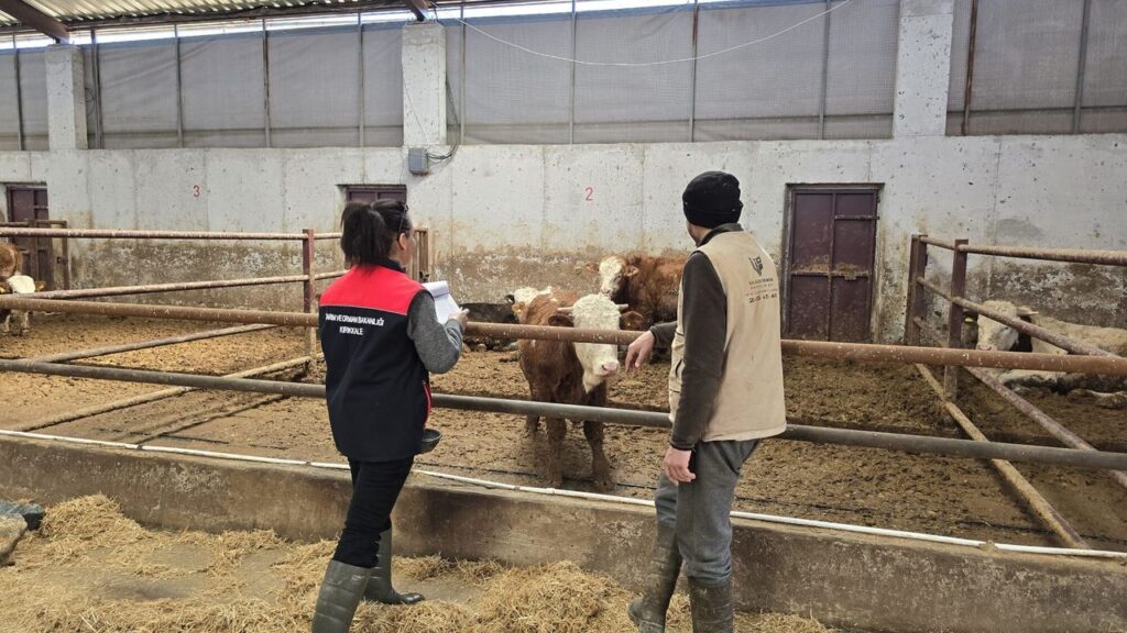 kirikkale’de-sap-asilama-calismalari-devam-ediyor