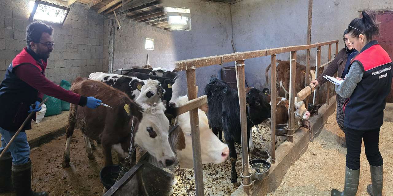 kirikkale’de-sap-asilama-seferberligi-basladi!-bolgesel-hayvanciligin-kaderi-bu-tarihte-belirleniyor