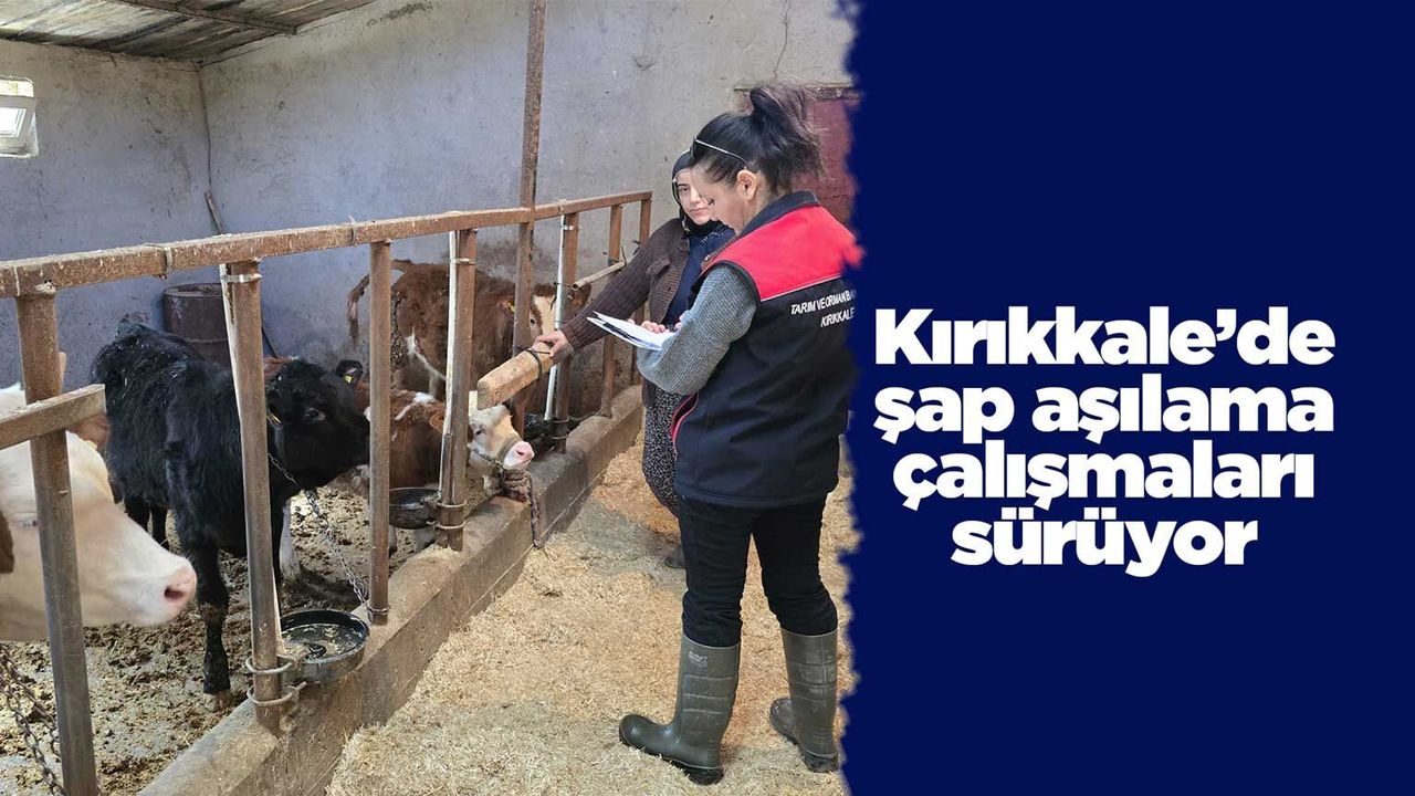 kirikkale’de-sap-asilama-calismalari-suruyor