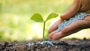 Gübre Satışına Sıkı Denetim Geliyor