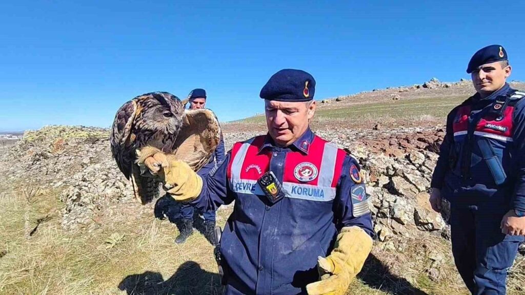 yozgat’ta-yarali-puhu-kurtarildi