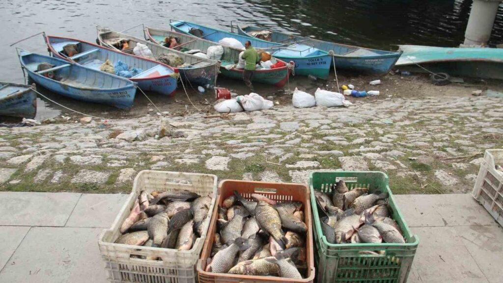 beysehir-golu’nde-av-yasagi-basliyor