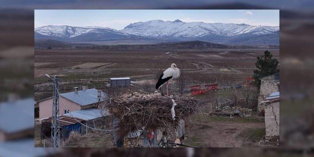 baharin-mujdecileri,-asirlardir-mesken-tuttuklari-koye-dondu