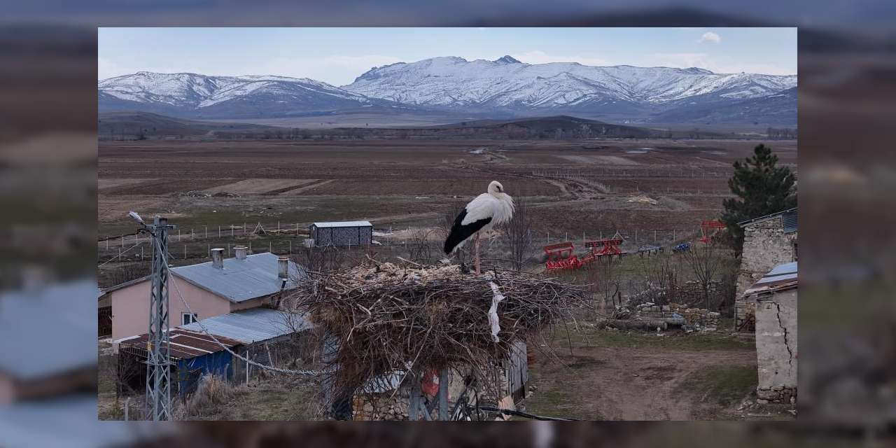 baharin-mujdecileri,-asirlardir-mesken-tuttuklari-koye-dondu