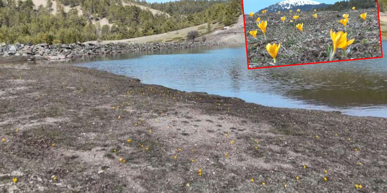 baharin-mujdecisi-kirikkale’den-ankara’ya-uzandi