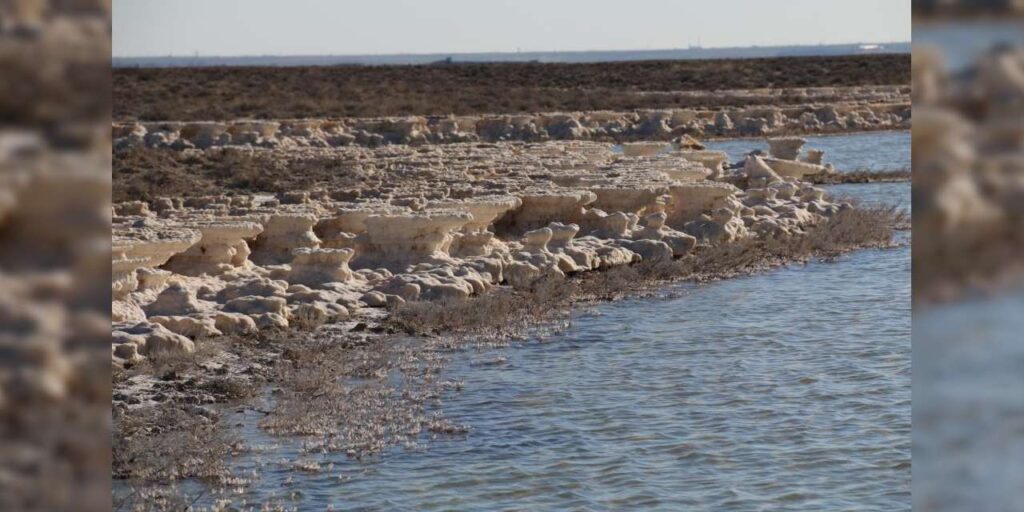 flamingolarin-yuvasi-yeniden-suyla-bulustu