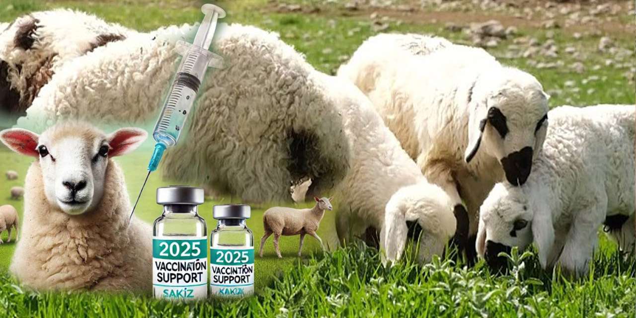 vetbis-kaydi-olmayan-yandi!