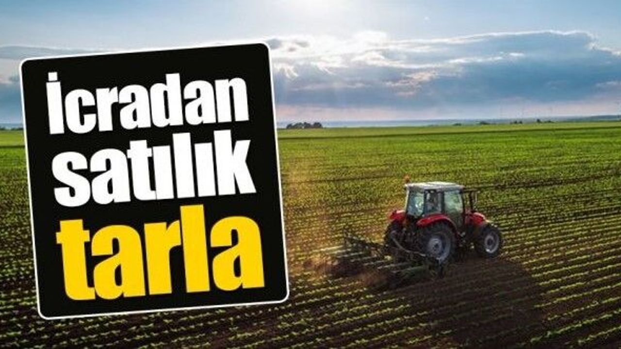 karakecili’de-100-donume-yakin-tarla-mahkemeden-satista