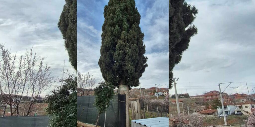 41-yillik-sadakatin-adi-“hatira-cami”