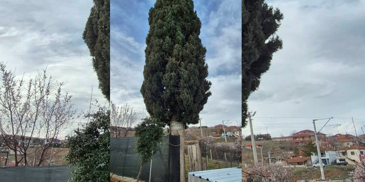 41-yillik-sadakatin-adi-“hatira-cami”