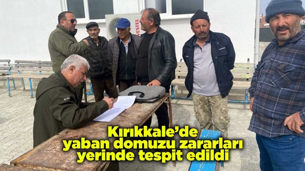 kirikkale’de-yaban-domuzu-zararlari-yerinde-tespit-edildi