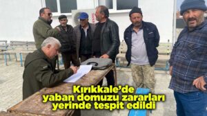 Kırıkkale’de yaban domuzu zararları yerinde tespit edildi