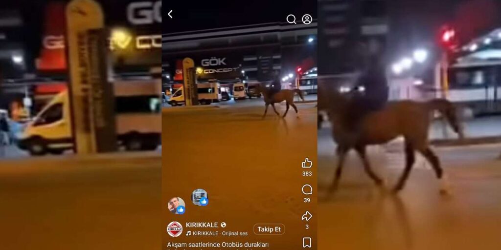 kirikkale’de-“atla-gel”-devri-basladi!