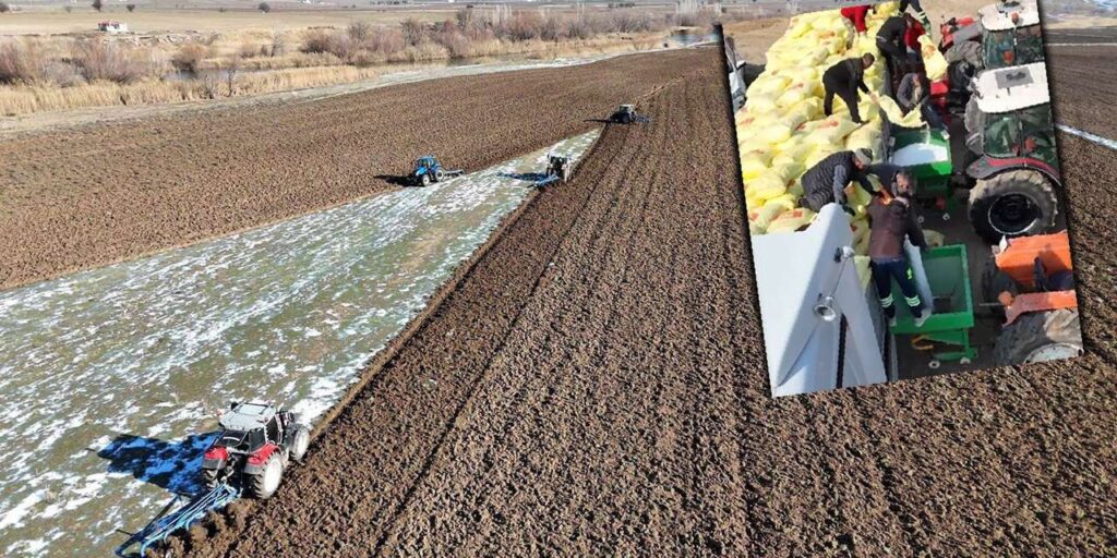 karekecili-egribuk-merasi-ure-gubresiyle-gucleniyor