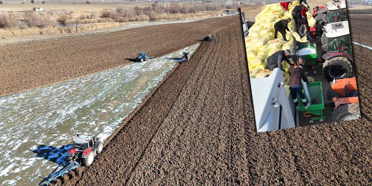 karekecili-egribuk-merasi-ure-gubresiyle-gucleniyor