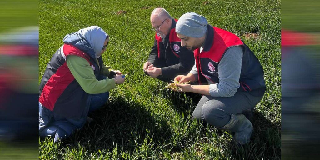 bahsili’da-tarlalarda-kirmizi-alarm!