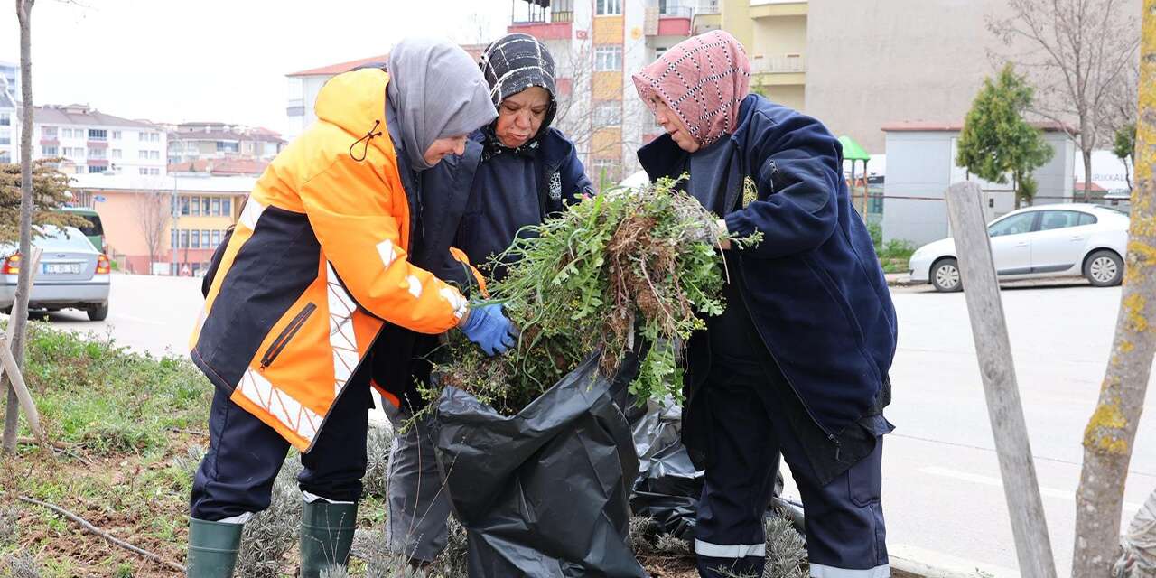 alparslan-turkes-bulvari’nda-yogun-peyzaj-mesaisi