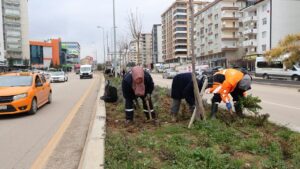 Kırıkkale’de Peyzaj Çalışmaları Devam Ediyor