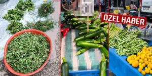 Kırıkkale Çarşamba pazarında renk cümbüşü! Madımak tezgâha indi, bahar geldi!