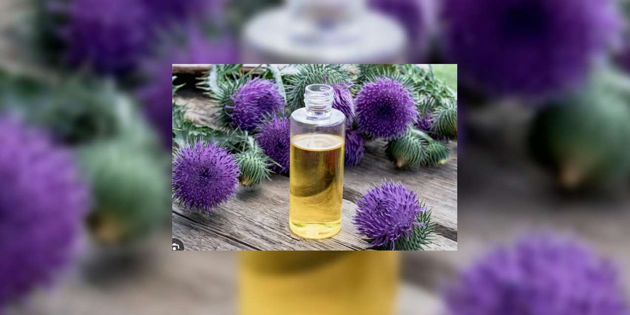 kirikkale-topraklarindan-fiskiran-sifa